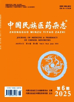 中国民族医药杂志杂志
